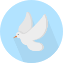 profile-picture1