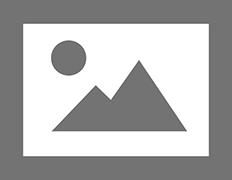 actionlocal